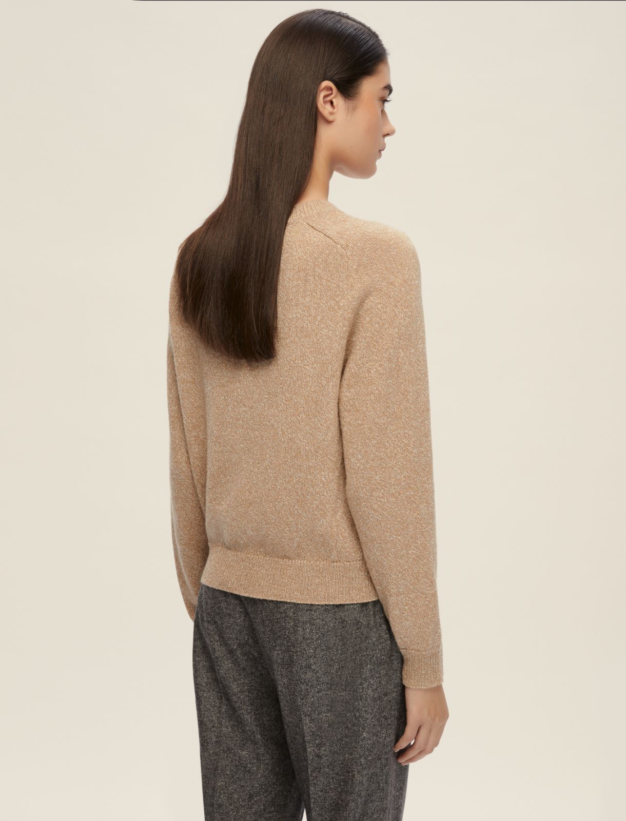 Lurex yarn-embellished boxy sweater - CAMEL - Emme - 2