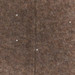TURTLEDOVE