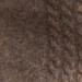 TURTLEDOVE