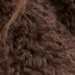 TURTLEDOVE